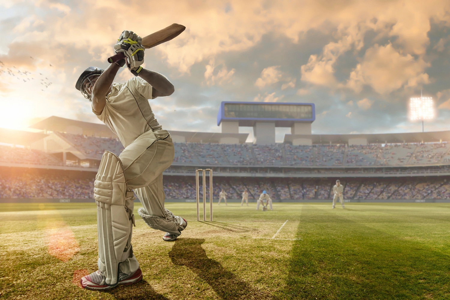ppl league cricket​